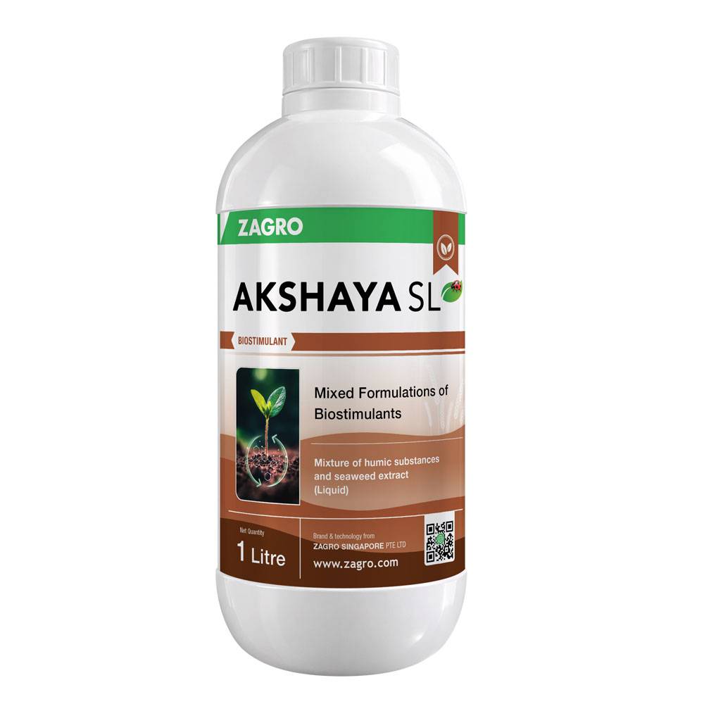 Akshaya SL